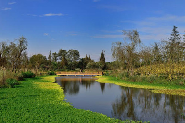 成都桤木河湿地公园在哪里 桤木河湿地公园门票交通指南及景区介绍