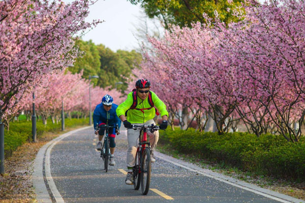 苏州秋季骑行路线推荐 有什么适合骑行的地方
