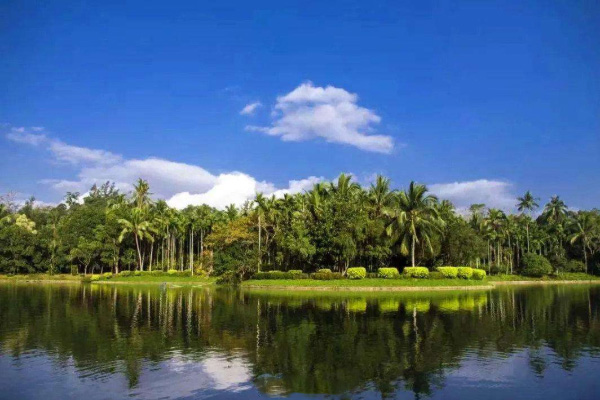 2024湛江南亚热带植物园游玩攻略-门票价格-景点信息