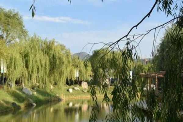 2024西宁景熙丰湿地生态景区游玩攻略-门票价格-景点信息