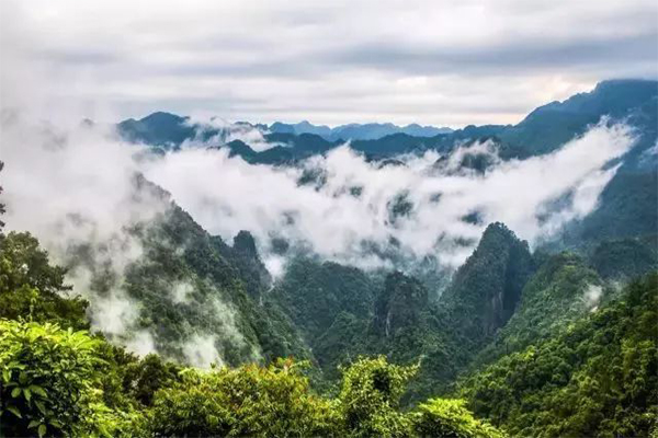 2024龙潭国家森林公园旅游攻略-门票价格-景点信息
