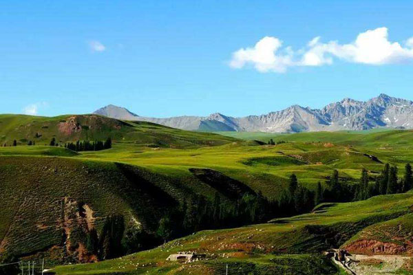2024新疆巩乃斯国家森林公园旅游攻略-门票价格-景点信息