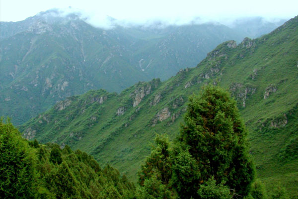 2023新疆和静北山森林公园游玩攻略 - 门票 - 交通 - 天气