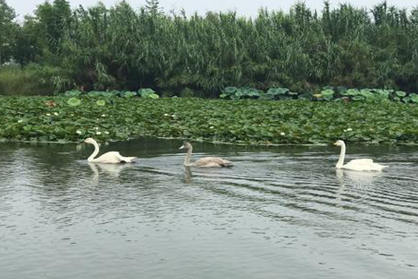 双龙湖国家湿地公园