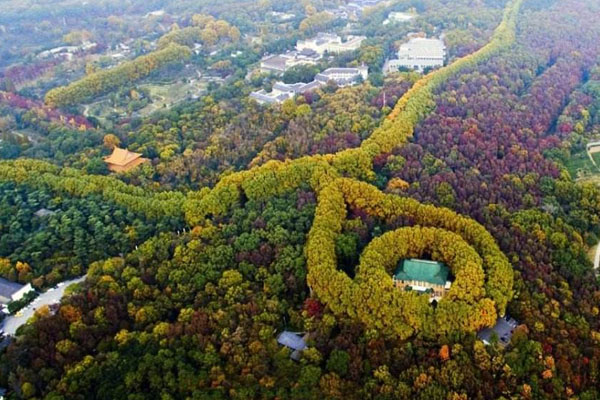 2020南京紫金山旅游护照使用规则-办理价格