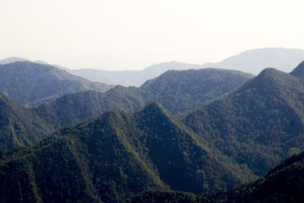2024黄连山国家级自然保护区旅游攻略-门票价格-景点信息