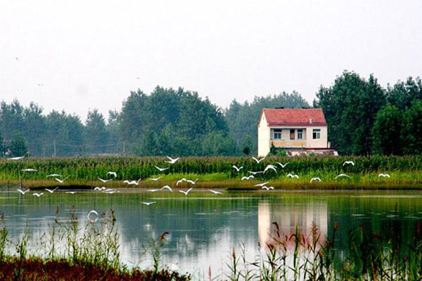 白鹭洲水利风景区