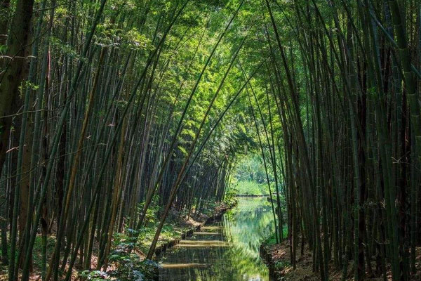 竹子溪湿地公园