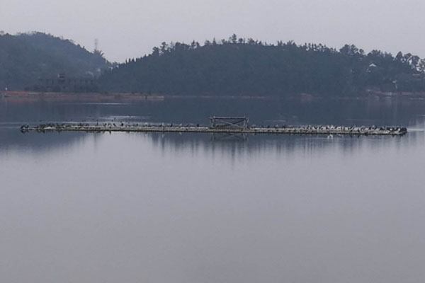 隆昌古湖景区