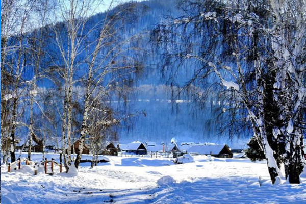 新疆喀纳斯冬天可以旅游吗 新疆喀纳斯景点介绍