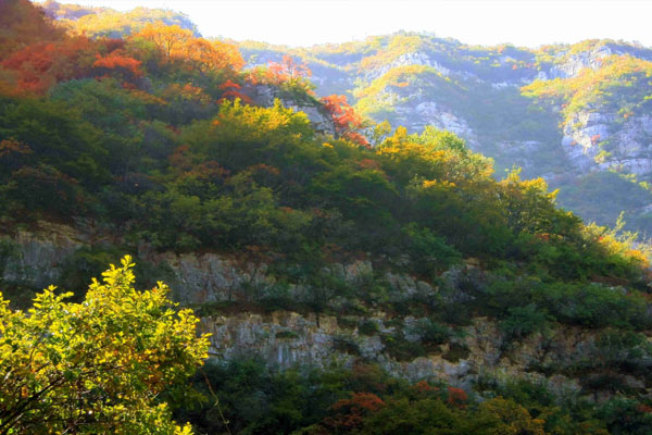 青天河风景区介绍 门票价格