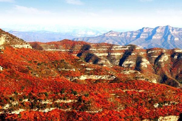 仙台山国家森林公园