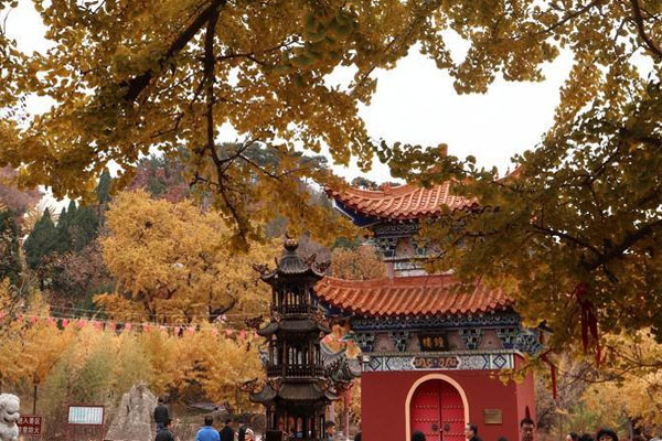 2023唐山禅林寺门票 - 交通 - 天气 - 旅游攻略