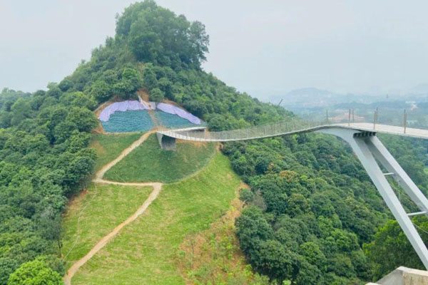 深圳光明大顶岭绿道游玩攻略 浮桥需要预约吗