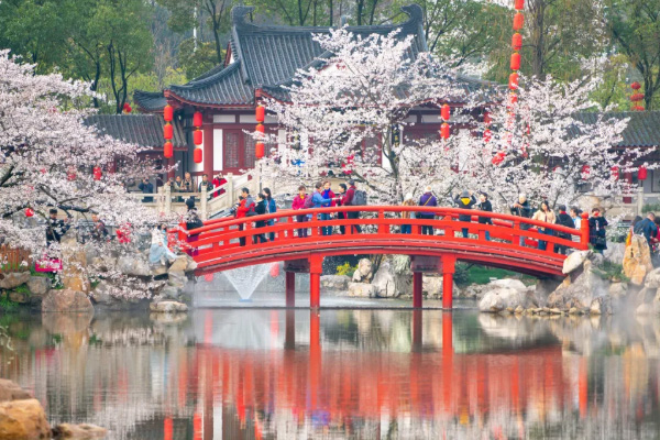 武汉赏樱花的地方有哪些 2021武汉赏樱最新活动