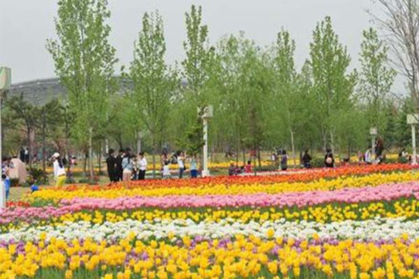 2021郑州绿博园问花节活动-赏花指南