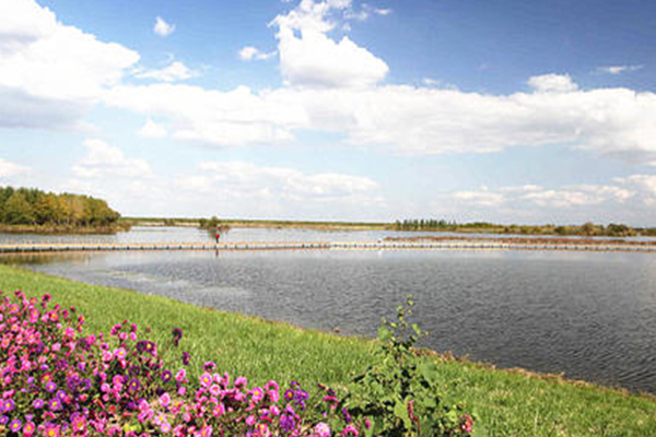 2024辽河湿地公园旅游攻略-门票价格-景点信息