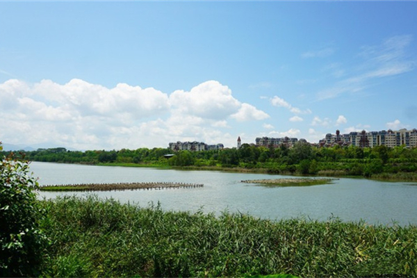 2024深圳华侨城湿地公园游玩攻略-门票价格-景点信息