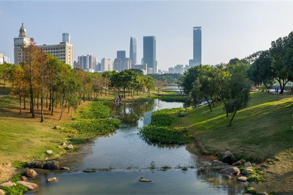 2024深圳中心公园游玩攻略-门票价格-景点信息