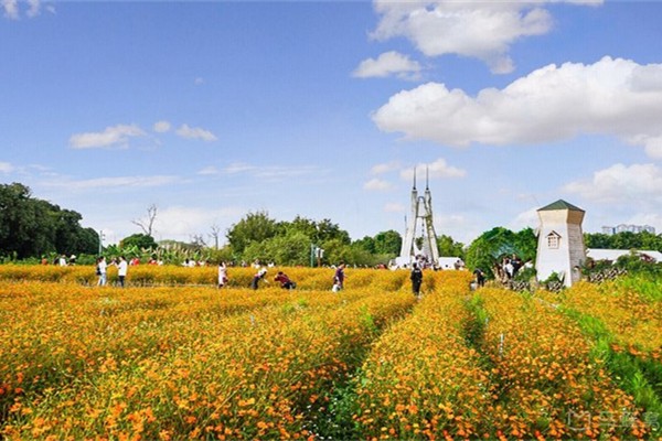 2024广州海珠国家湿地公园游玩攻略-门票价格-景点信息
