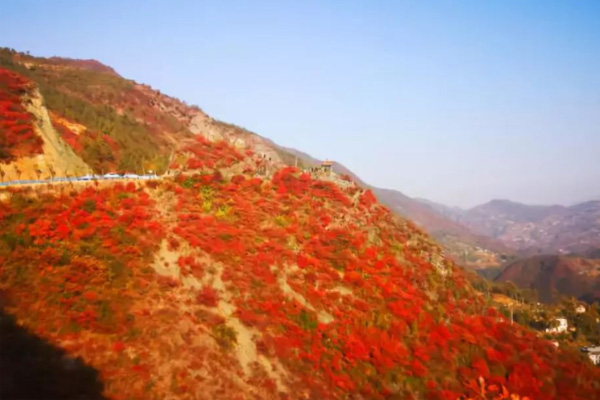 2021重庆巫山红叶最佳观赏路线
