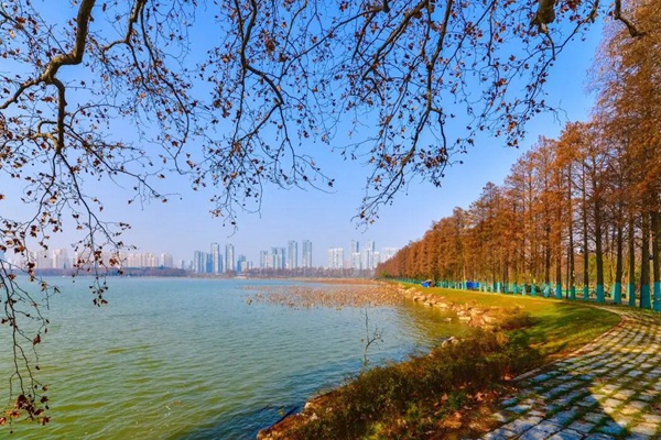 武汉东湖风景区要门票吗