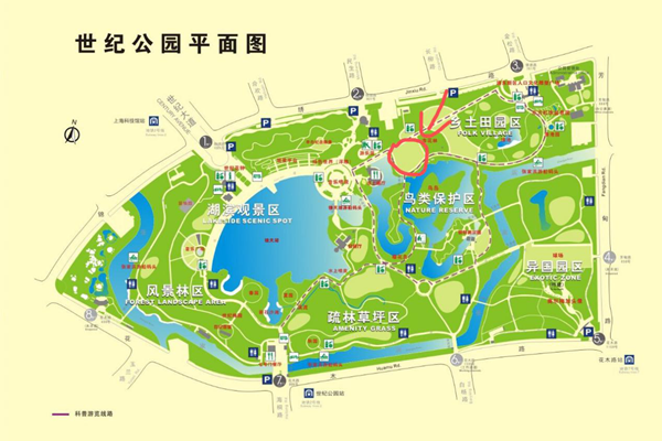 2023上海世纪公园游玩攻略 - 门票价格 - 开放时间 - 景点介绍 - 游乐设施 - 地址 - 交通 - 天气