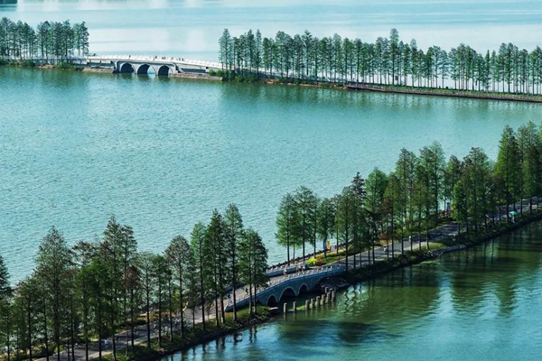 2023武汉东湖风景区要怎么玩？这份官方推送的旅游攻略值得收藏
