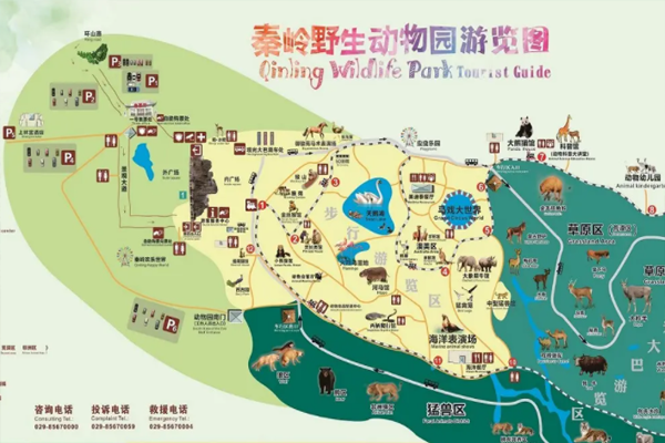 2023西安秦岭野生动物园旅游攻略 - 门票价格 - 优惠政策 - 开放时间 - 一日游攻略 - 地址 - 交通 - 天气