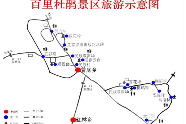 2023贵州百里杜鹃旅游攻略 - 最佳时间 - 门票价格 - 观赏花期 - 开放时间 - 优惠政策 - 交通 - 地址 - 电话 - 天气