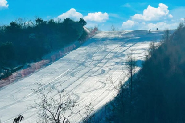 2023沈阳怪坡滑雪场会员专属福利 周一至周五仅需80元