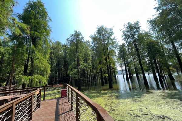 2024青山湖国家森林公园旅游攻略-门票价格-景点信息