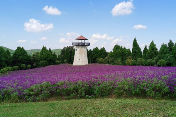 2023德阳香山寿香谷旅游攻略 - 门票价格 - 开放时间 - 优惠政策 - 游玩项目 - 交通 - 地址 - 电话 - 天气