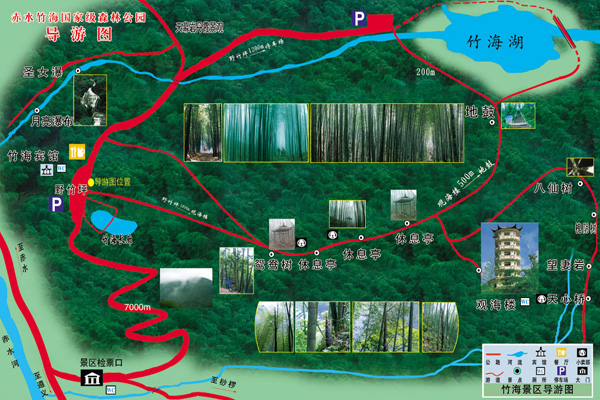 2023赤水竹海国家森林公园游玩攻略 - 门票价格 - 优惠政策 - 开放时间 - 主要景点 - 一日游 - 简介 - 交通 - 地址 - 电话 - 天气