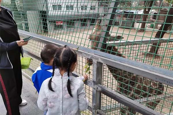2023濮阳市中心动物园旅游攻略 - 门票价格 - 优惠政策 - 开放时间 - 简介 - 交通 - 地址 - 电话 - 天气