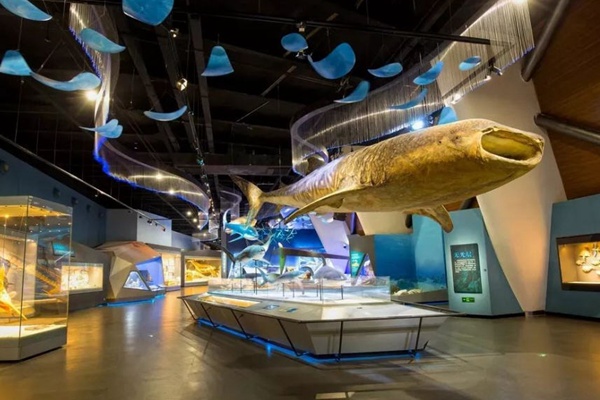 国家海洋博物馆开放时间最新2023