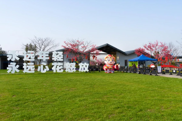 2023无锡九龙湾花星球旅游攻略 - 门票价格 - 开放时间 - 优惠政策 - 交通 - 地址 - 电话 - 天气