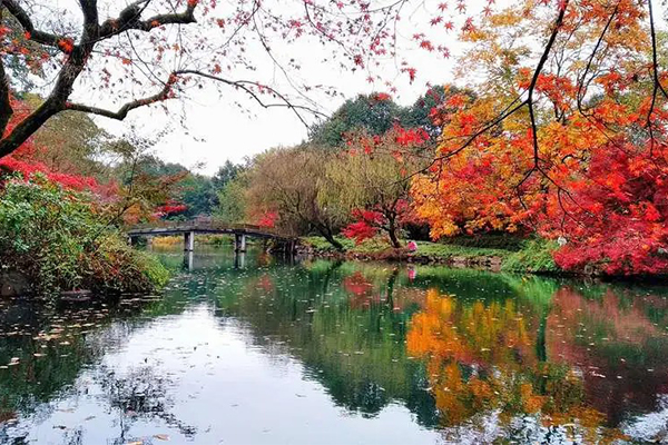2023花港观鱼旅游攻略 - 门票价格 - 优惠政策 - 开放时间 - 简介 - 交通 - 美食 - 地址 - 电话 - 天气