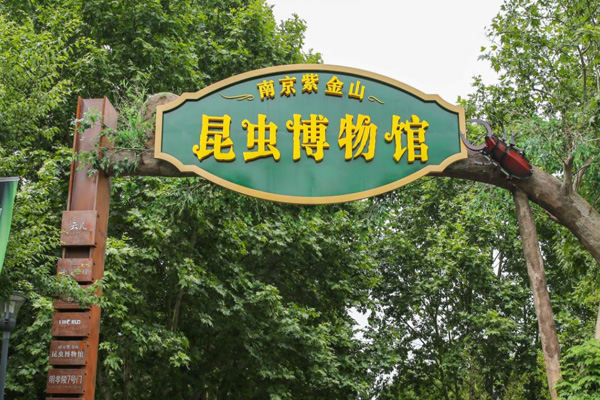 2024南京紫金山昆虫博物馆游玩攻略-门票价格-景点信息