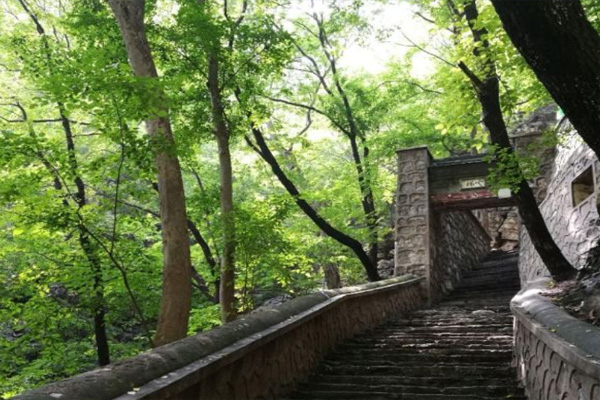 北京上方山国家森林公园开放时间2024