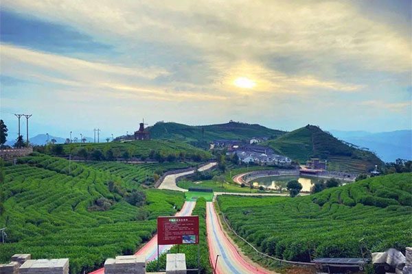 2023羊岩山茶文化园旅游攻略 - 门票价格 - 优惠政策 - 开放时间 - 简介 - 交通 - 美食 - 地址 - 电话 - 天气