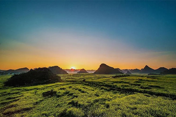2023罗平油菜花景区旅游攻略 - 门票价格 - 优惠政策 - 开放时间 - 简介 - 交通 - 美食 - 地址 - 电话 - 天气