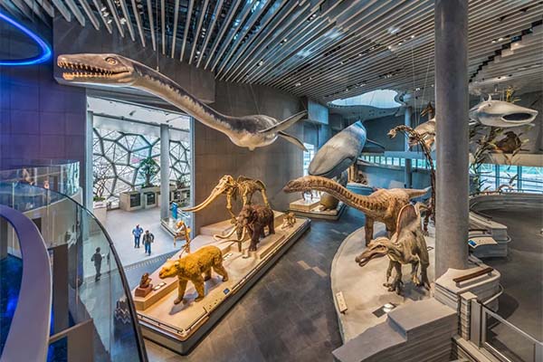 2023上海自然博物馆半价活动