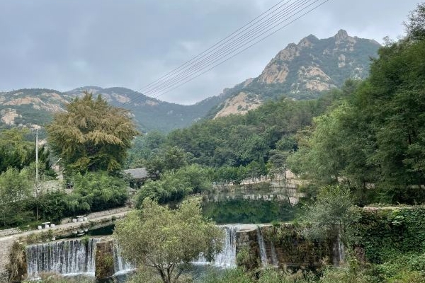 2023烟台昆嵛山游玩攻略 - 门票价格 - 优惠政策 - 交通 - 景点介绍 - 开放时间 - 地址 - 电话