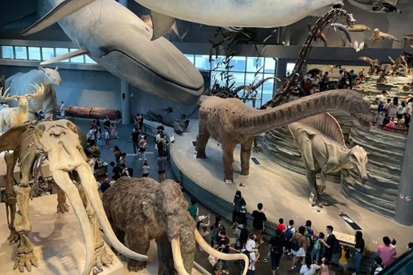 上海自然博物馆门票多少钱一张2023