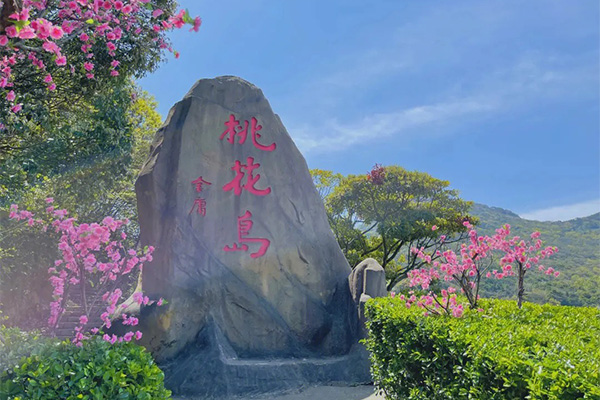 2023舟山桃花岛旅游攻略 - 门票价格 - 船票预定 - 必去景点 - 观赏花期 - 开放时间 - 优惠政策 - 交通 - 地址 - 电话 - 天气