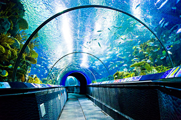 2023上海海洋水族馆门票多少钱 附优惠政策