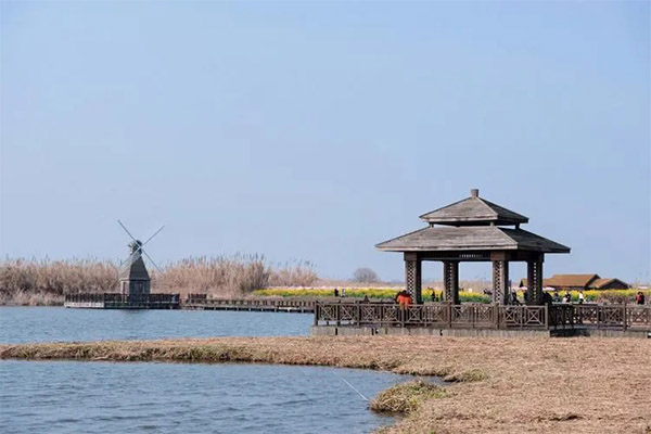 2023杭州湾国家湿地公园旅游攻略 - 门票价格 - 优惠政策 - 游玩攻略 - 开放时间 - 交通 - 地址 - 电话 - 天气