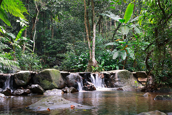 2024海南百花岭热带雨林文化旅游区旅游攻略-门票价格-景点信息