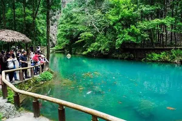 2023雁荡山国家森林公园旅游攻略 - 门票价格 - 优惠政策 - 开放时间 - 简介 - 交通 - 美食 - 地址 - 电话 - 天气